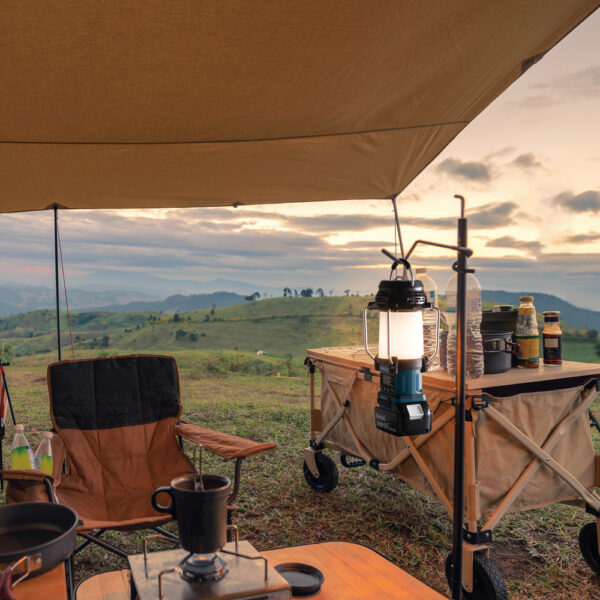 DMR057_D1CK_s01 Akutoitel LXT® valgusti/raadio
DMR057