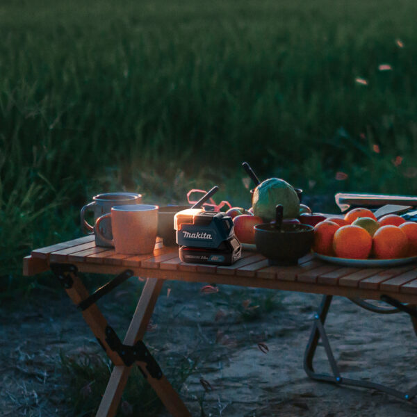 Motor home campervan park at rice paddy field during sunset Lamp CXT® ML107