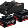 3165140967969_1 Akud + laadija Bosch GBA 18V / 2x4.0Ah + GAL 18V-40