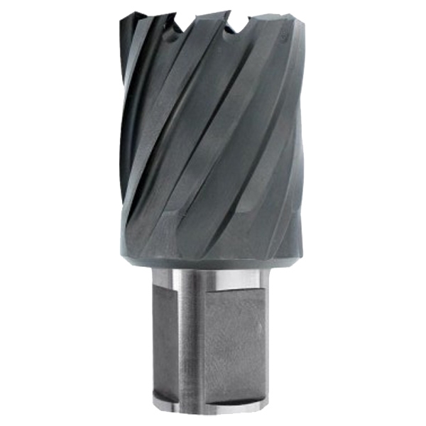 3221910824945 Kroonpuur TiAlN Ø12X60x30 mm, HSS, lühike seeria. Kinnitus Ø19 mm, Weldon