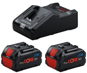 4053423248814_1 Akud + laadija Bosch GBA 18V / 2x8.0Ah ProCORE 18V + GAL 18V-160