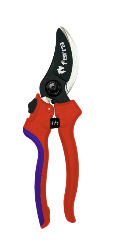 4745090950823 Ferra oksakäärid vaheliti teradega PRO