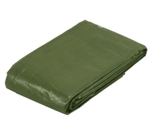 7506240636250_1 Truper koormakate Extreme 2x3m, oliivroheline, 240g/m2