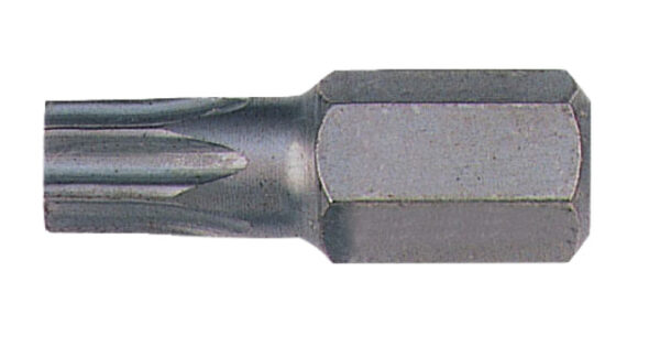 BE5049T55 Otsakud Torx T55 30mm 5tk 10mm saba