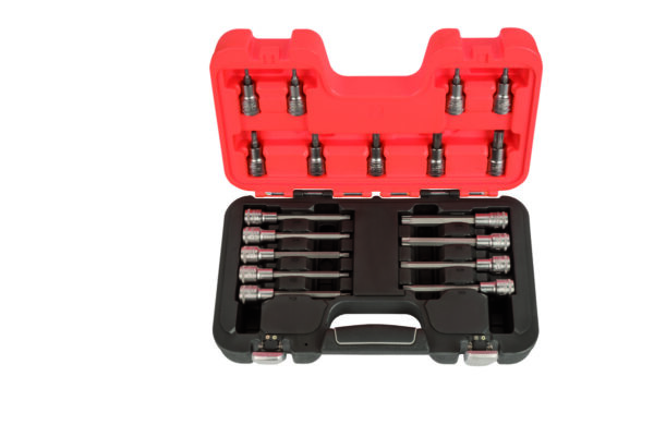 S18TORX Torx lühikeste ja pikkade padrunotsakute kmpl T20-T60 18 osa 1/2"